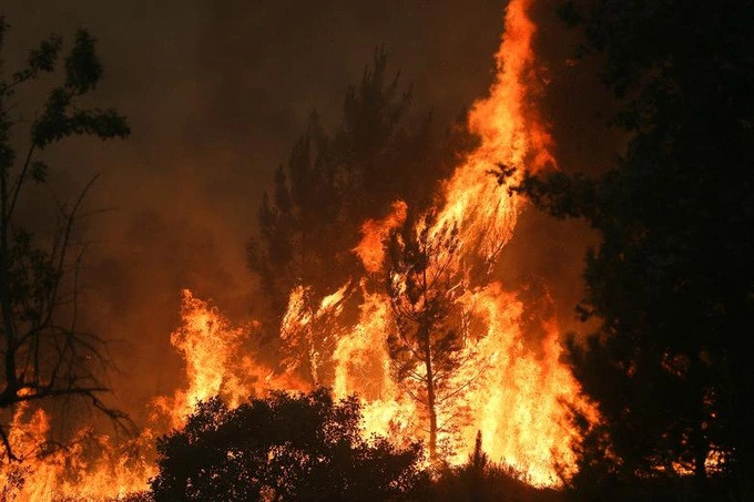Thủ tướng Bồ Đào Nha Antonio Costa cho biết: "Điều tối quan trọng là chúng tôi nỗ lực không để các vụ cháy rừng mới bùng phát, khiến các nhân viên cứu hỏa và tất cả những người khác kiệt sức, những người đang cố gắng hết sức để kiểm soát tình hình cháy rừng". Ảnh: Reuters.