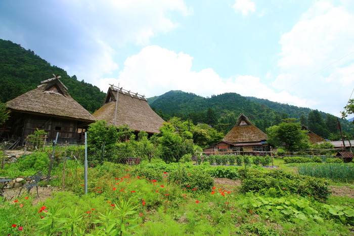 Tuy nhiên, nhà dễ bén lửa và mái hay bị dột nên người dân trong làng phải thường xuyên thay mái.