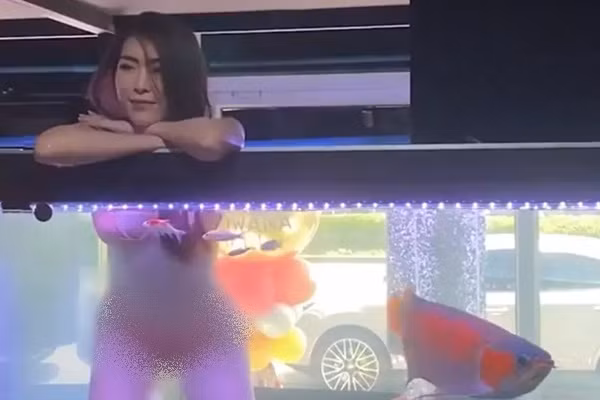 Thue nguoi mau bikini ngoi trong be ca, cua hang hung “gach da”