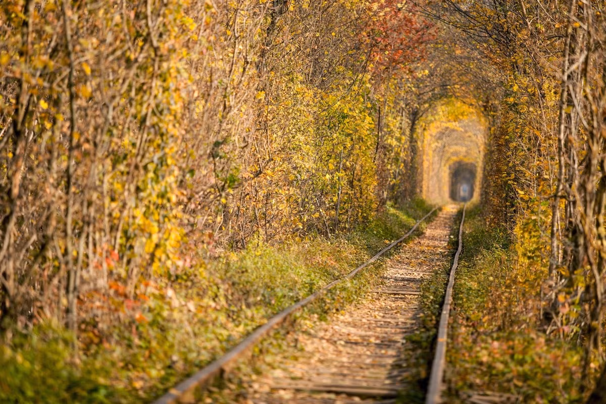 ​Canh dep nao long o duong ham tinh yeu cua Ukraine suot 4 mua-Hinh-6