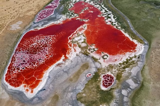 Kham pha ho nuoc do ky la giong trai tim giua sa mac-Hinh-4