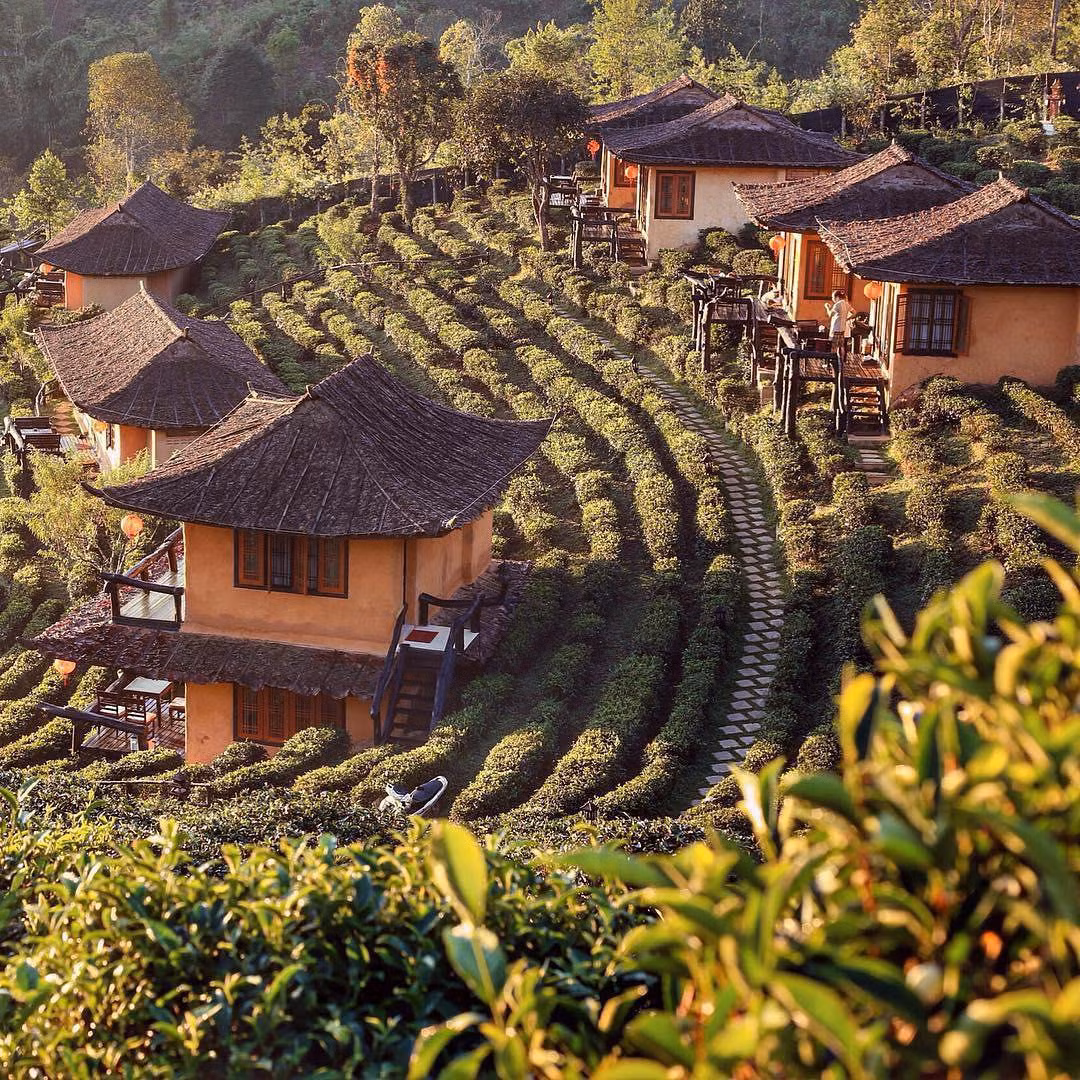 Lac loi ngoi lang menh danh “Phuong Hoang Co tran” o Thai Lan-Hinh-3