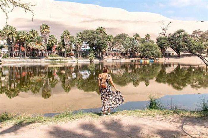 Một trong những hoạt động nhộn nhịp nhất nơi đây là khám phá sa mạc bằng xe mui trần và trượt từ những cồn cát cao ngất. Các khách sạn hay văn phòng du lịch ở Huacachina đều chào bán hành trình này với giá khoảng 20 USD/2 giờ. Ảnh: Gettty, Wordpress.