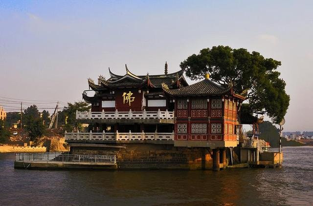 Chùa Kim Sơn còn có một cây long não cổ thụ liền thân. Cây cao hơn 20 mét, chiều rộng thân hơn 1 mét. Ở phầm trung tâm của chùa còn có một tháp cổ.