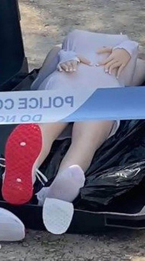 Thay xac chet trong thung rac, ca lang te ngua khi biet su that-Hinh-2