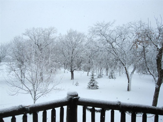 4. International Falls, Minnesota, Mỹ: Thị trấn International Falls chỉ có 600 cư dân đã trải qua những mùa đông khắc nghiệt với nhiệt độ trung bình -48 độ C. Trong 40 năm gần đây, thị trấn đã tổ chức Lễ hội mùa đông Icebox Days, nơi người dân địa phương và du khách cùng tham gia nhiều hoạt động giải trí hấp dẫn.