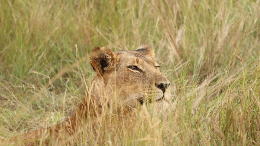 Treo rao so thu de trom su tu con, nguoi dan ong chet tham