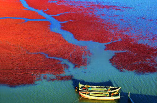 Kinh ngac khung canh tho mong “Bien Do” cua Trung Quoc-Hinh-2