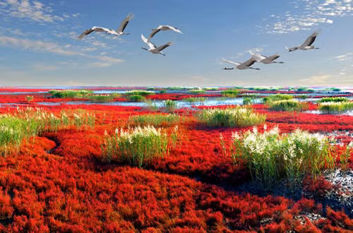 Kinh ngac khung canh tho mong “Bien Do” cua Trung Quoc-Hinh-4