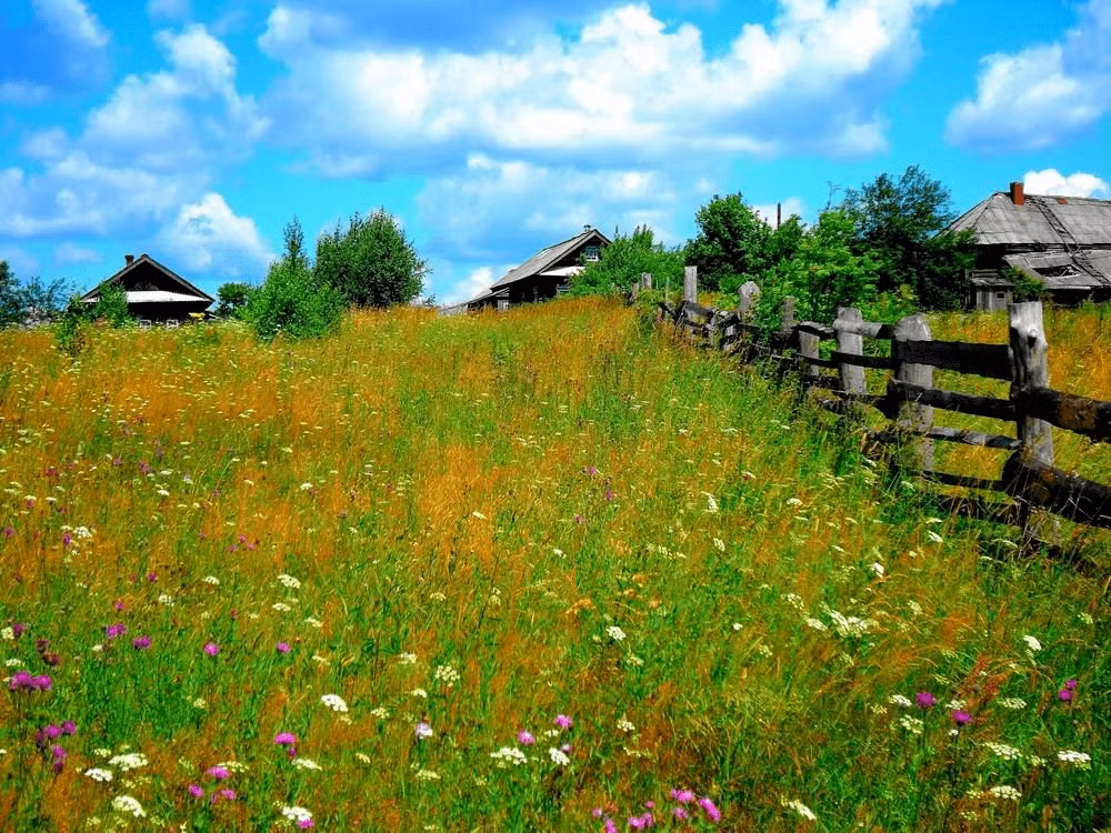 Những buổi chiều tà, bạn có thể thong dong các đồng cỏ hái hoa dại và hít thở không khí trong lành. Ảnh: ER.