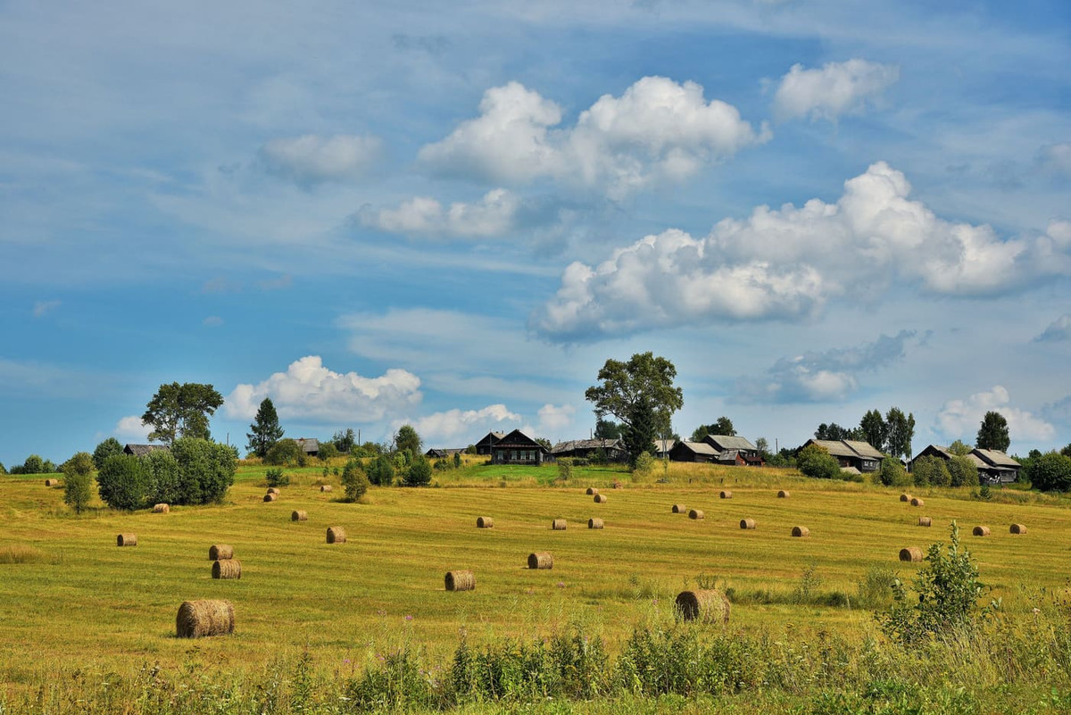 Ở xứ sở Bạch Dương, người dân địa phương thích nghỉ hè ở làng quê hơn là du lịch nước ngoài.