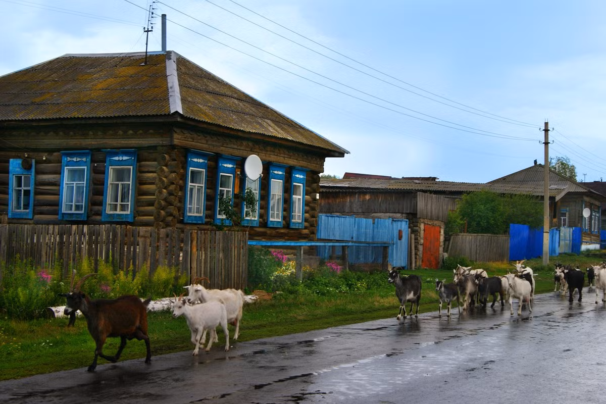 Mùa hè ở làng quê Nga mang đến cho lũ trẻ những trải nghiệm thú vị mà ở thành thị náo nhiệt không bao giờ có được.