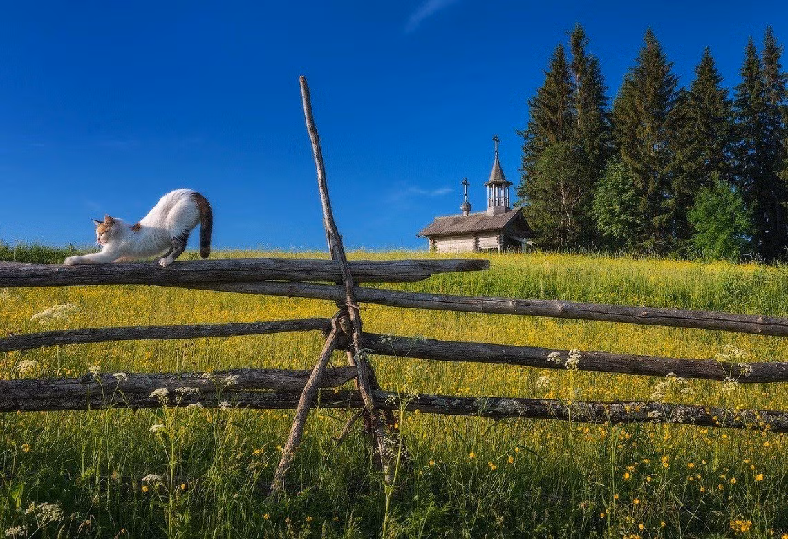 Canh dep mua he xanh muot o lang que nuoc Nga-Hinh-12