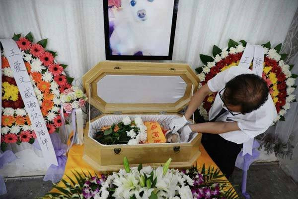 Dich vu mai tang cho thu cung “chay hang” o Trung Quoc