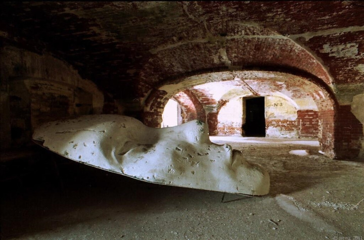 Tuy nhiên nơi này lại đặc biệt nổi tiếng vì những thí nghiệm với vi khuẩn Yersenia, nguyên nhân của bệnh dịch hạch. Chính vì vậy, pháo đài Alexander còn có tên khác là "pháo đài bệnh dịch".