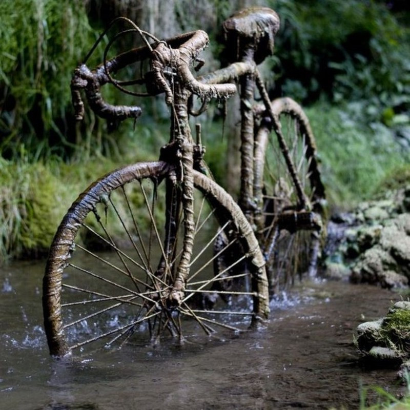 Kỳ lạ giếng nước cổ “hóa đá” mọi thứ bên trong - Hình 3 Ky la gieng nuoc co “hoa da” moi thu ben trong-Hinh-3