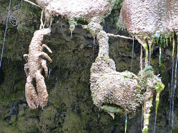 Kỳ lạ giếng nước cổ “hóa đá” mọi thứ bên trong - Hình 7 Ky la gieng nuoc co “hoa da” moi thu ben trong-Hinh-7