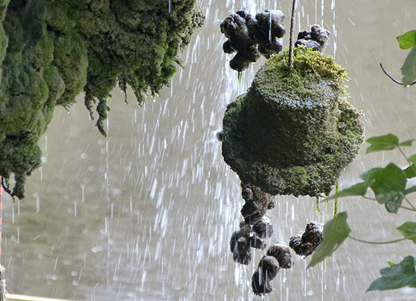 Kỳ lạ giếng nước cổ “hóa đá” mọi thứ bên trong - Hình 8 Ky la gieng nuoc co “hoa da” moi thu ben trong-Hinh-8