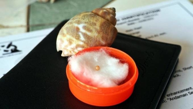 Di an nha hang, co gai bong “nhai” trung ngoc trai nua ty