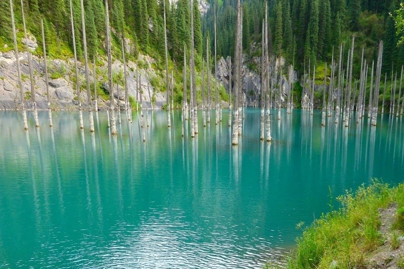 Rừng chìm hồ Kaindy (Kazakhstan): Hồ Kaindy được hình thành sau một trận động đất vào năm 1911. Những thân cây vân sam mọc chìm trong lòng hồ và nhô lên sinh trưởng tươi tốt trên mặt nước.