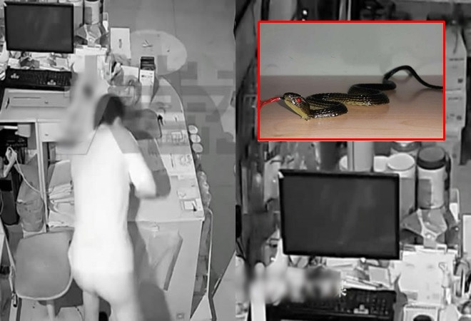 Di an cap gap ran nhua, ten trom nga hon me bat tinh