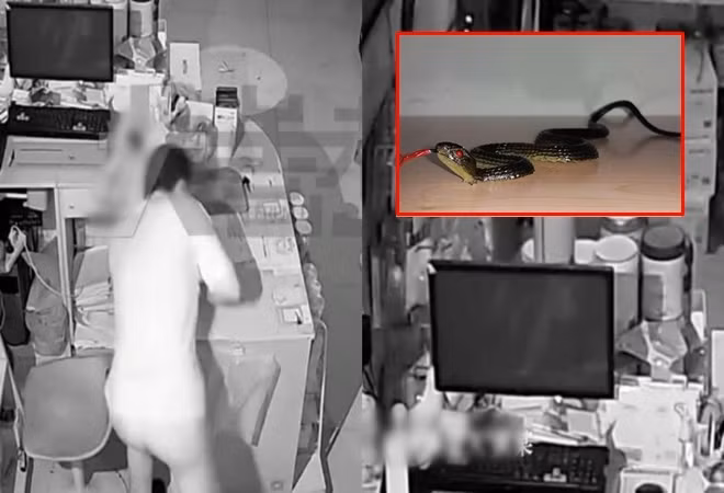 Di an cap gap ran nhua, ten trom nga hon me bat tinh