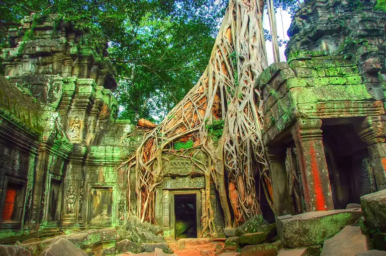 8. Đền Angkor Wat: Nằm trong khu rừng rậm phía bắc tỉnh Siem Reap của Campuchia, Angkor Wat là một nơi tuyêt đẹp được UNESCO gọi là một trong những địa điểm khảo cổ quan trọng nhất của Đông Nam Á. Hiện tại, ngôi đền Ta Prohm được bao phủ bởi những gốc cây khổng lồ. Ảnh: TH.