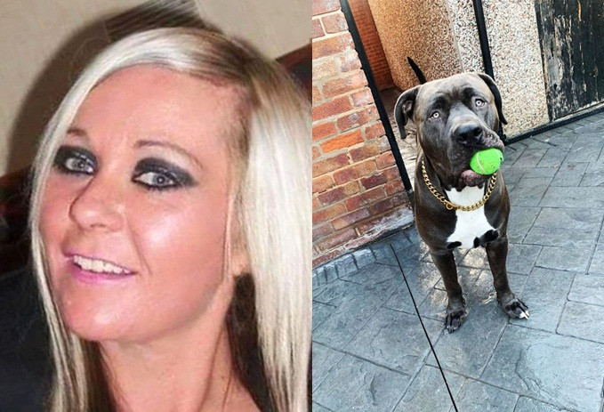 Xot xa nguoi vo bi cho cung can chet du chong co giai cuu