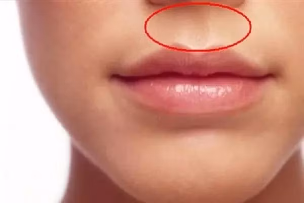 Phụ nữ sở hữu 3 nét quý, sau 35 tuổi tài vận hưng thịnh - Hình 2 Phu nu so huu 3 net quy, sau 35 tuoi tai van hung thinh-Hinh-2