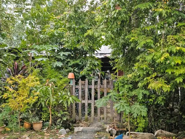 Những cư dân cao tuổi của làng chuyện trò thư thái bên hiên nhà, tiếng gà mái cục tác liên hồi xen lẫn tiếng dế kêu râm ran đang át đi âm thanh huyên náo chốn đô thị. Tất cả làm nên một bản giao hưởng bình yên, êm ái.