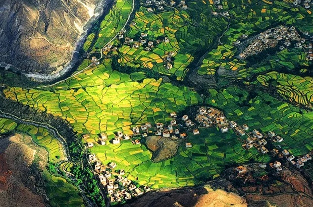 Những ruộng lúa xanh tươi đan xen với màu vàng ươm ở Hương Thành, Tứ Xuyên.