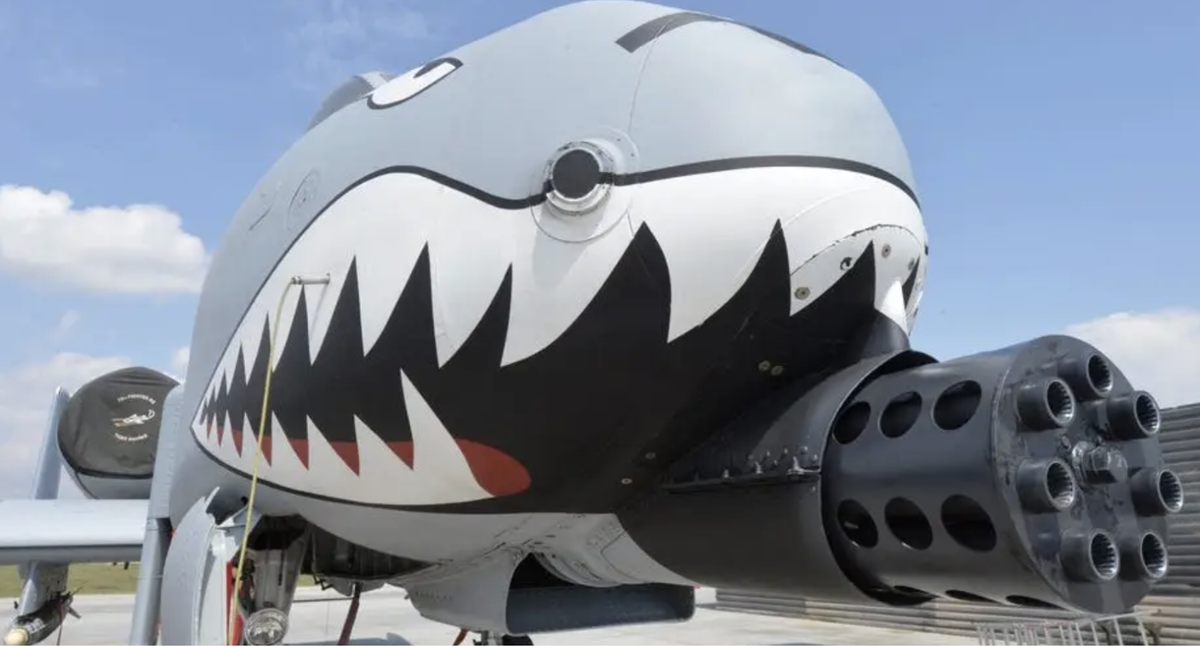 Theo nhà báo của tờ EurAsian Times, ý tưởng cung cấp A-10 thậm chí bị nghi ngờ ở chính Kyiv. Giới quân sự địa phương tin rằng sự chậm chạp của Warthogs sẽ là một vấn đề lớn, chúng cực kỳ dễ bị tổn thương trước các hệ thống phòng không của đối phương.