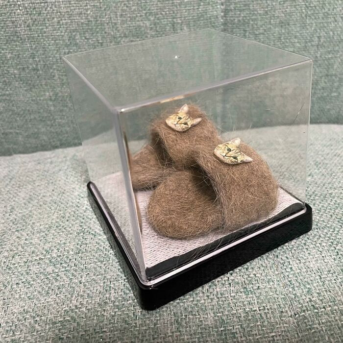 Con meo cung deo doi dep lam tu long chinh no gay sot mang-Hinh-4