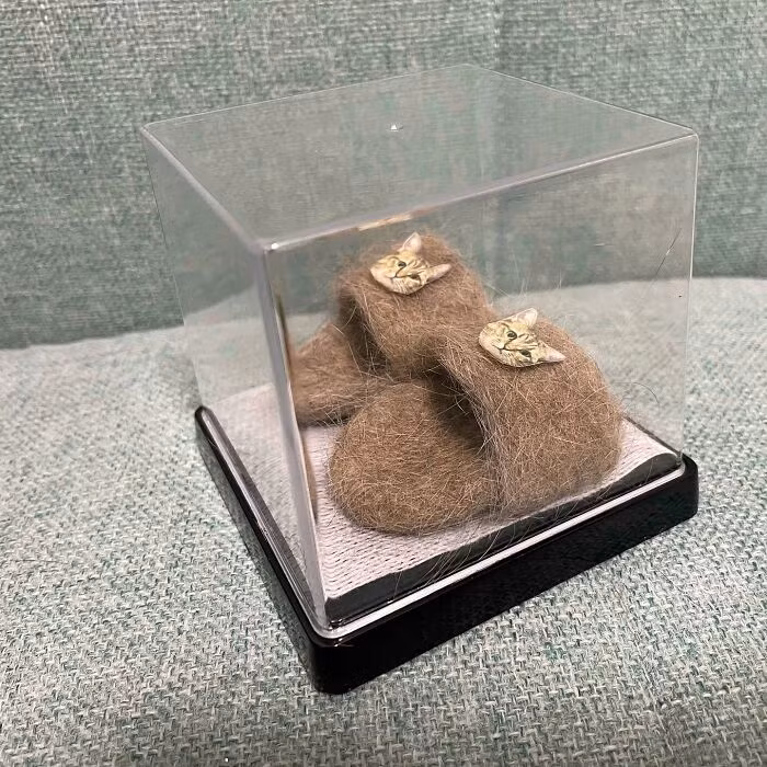 Con meo cung deo doi dep lam tu long chinh no gay sot mang-Hinh-4