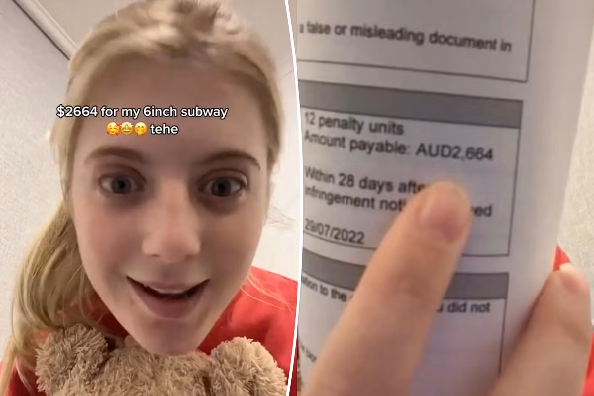 Bi phat hon 40 trieu dong vi khong khai bao nua chiec banh mi-Hinh-2