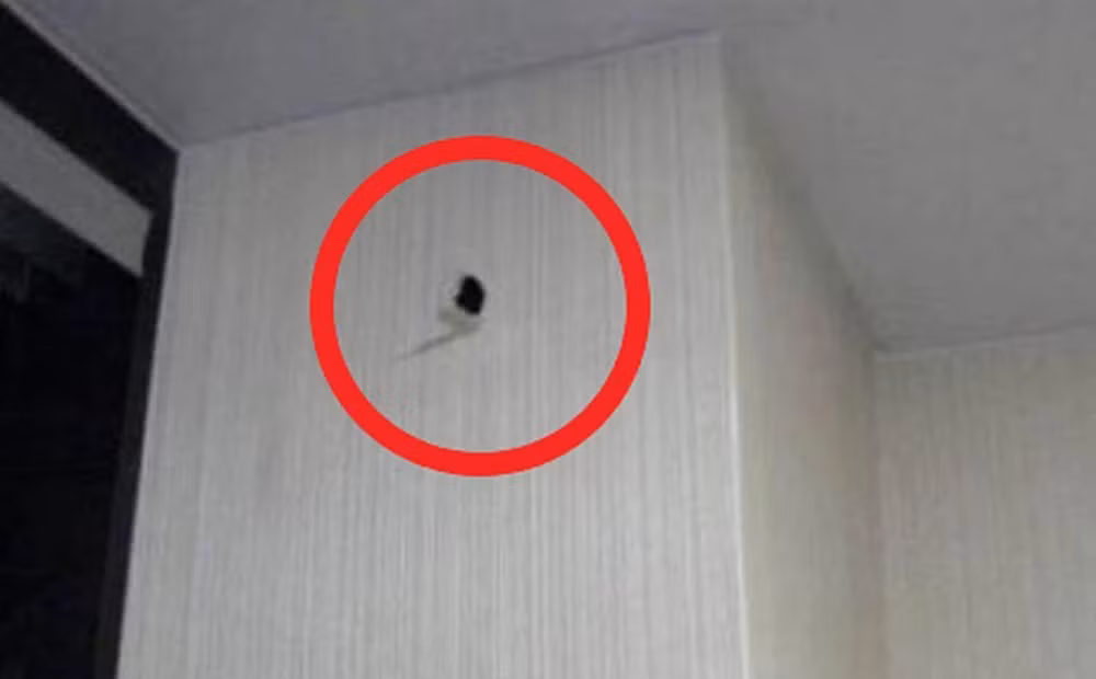 Nghe am thanh la tu buc tuong, chu nha kinh ngac khi biet su that