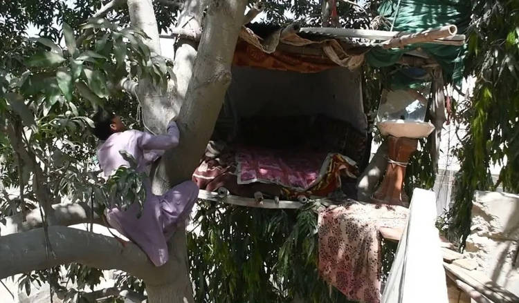 Nguoi menh danh la Tarzan vi song tam bo tren cay suot 8 nam