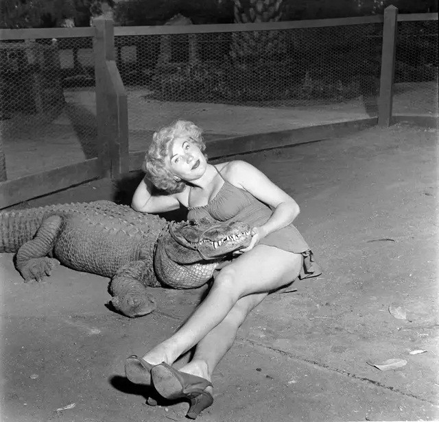 Ảnh hiếm: Trang trại ở California cho trẻ em cưỡi cá sấu - Hình 4 Anh hiem: Trang trai o California cho tre em cuoi ca sau-Hinh-4