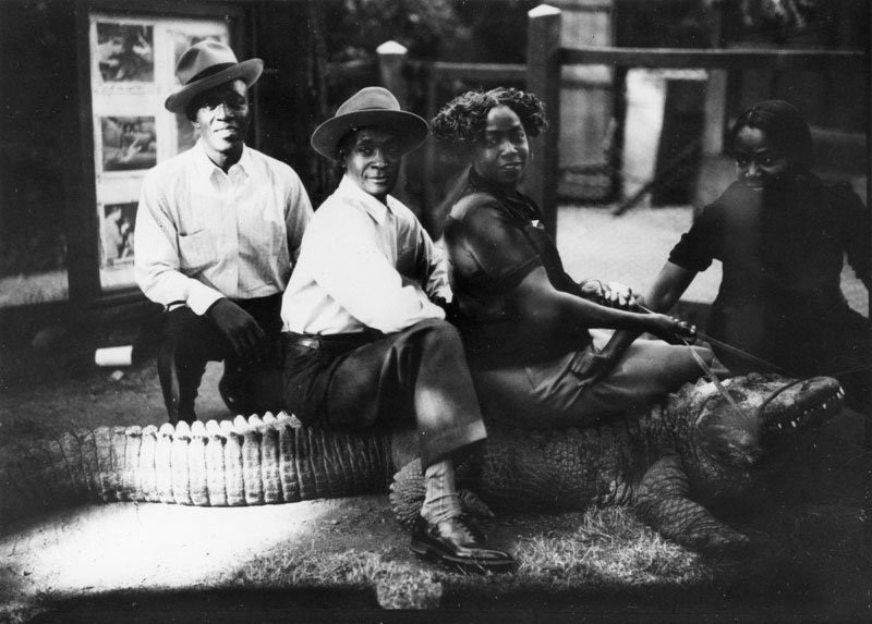 Ảnh hiếm: Trang trại ở California cho trẻ em cưỡi cá sấu - Hình 9 Anh hiem: Trang trai o California cho tre em cuoi ca sau-Hinh-9