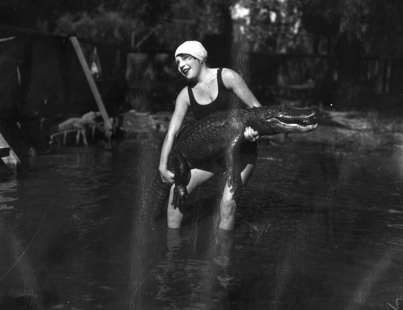 Ảnh hiếm: Trang trại ở California cho trẻ em cưỡi cá sấu - Hình 11 Anh hiem: Trang trai o California cho tre em cuoi ca sau-Hinh-11