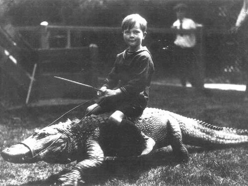 Ảnh hiếm: Trang trại ở California cho trẻ em cưỡi cá sấu Anh hiem: Trang trai o California cho tre em cuoi ca sau