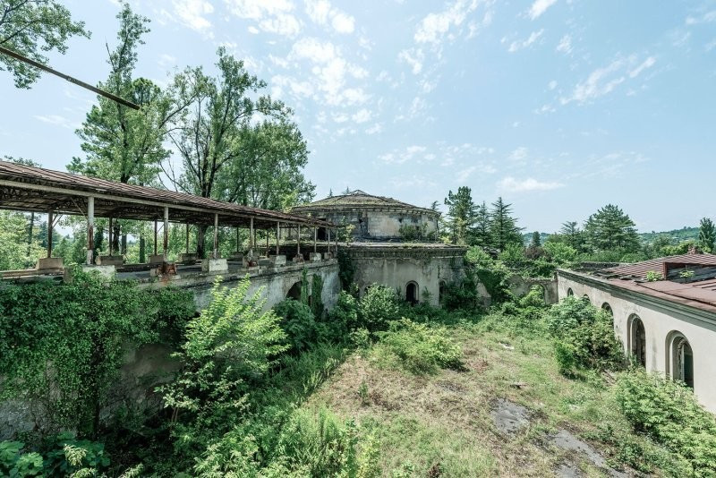 Thảm thực vật xâm chiếm khắp các tòa nhà.