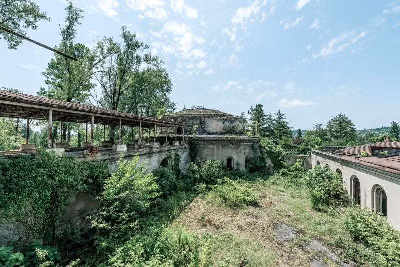 Thảm thực vật xâm chiếm khắp các tòa nhà.