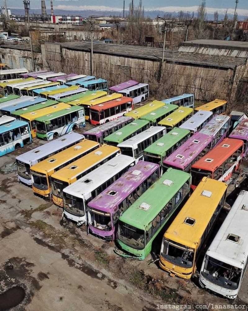 Nhìn từ xa, ai cũng tưởng đây là những chiếc xe mới nhưng thực chất chúng đều đã hư hỏng và bị bỏ hoang nhiều năm nay.