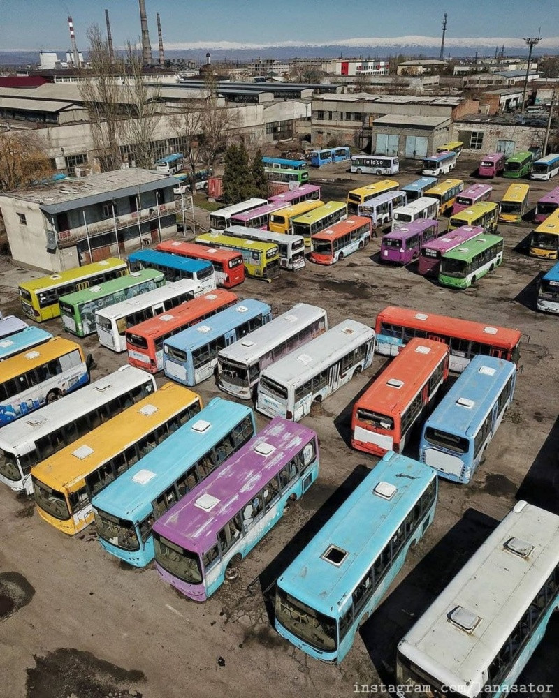 Nhìn từ trên cao, chúng giống như một bức tranh đa sắc màu.