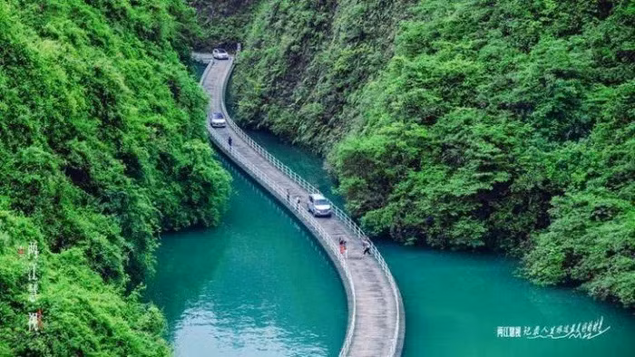 Chiem nguong cay cau go bac qua song dep den nao long-Hinh-10