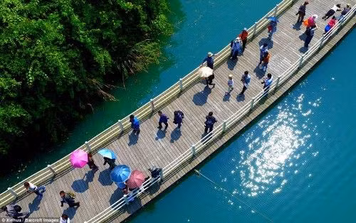 Chiem nguong cay cau go bac qua song dep den nao long-Hinh-5