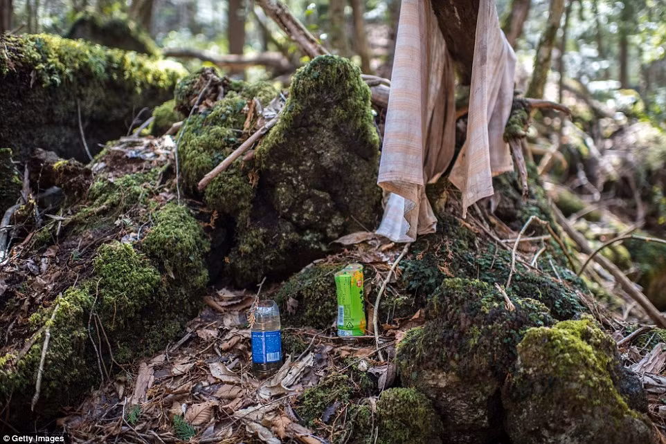 Do rừng Aokigahara quá rậm rạp và có ít người lui tới nên một số thi hài người quá cố không được tìm thấy trong nhiều năm, thậm chí là mãi mãi.