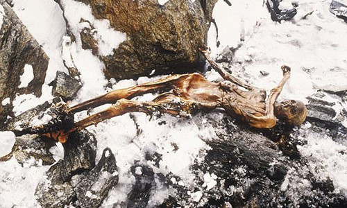 Người đầu tiên là nhà nghiên cứu bệnh học pháp y Rainer Henn, 64 tuổi qua đời trong một tai nạn giao thông.