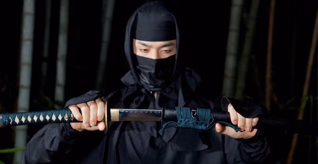 Là con trai của Hattori Yasunaga, thủ lĩnh tộc Ninja Iga lúc bấy giờ, Hattori Hanzō sớm bộc lộ tài năng của một ninja xuất sắc.